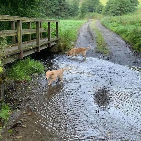 Apartamento In Nahe Skipisten