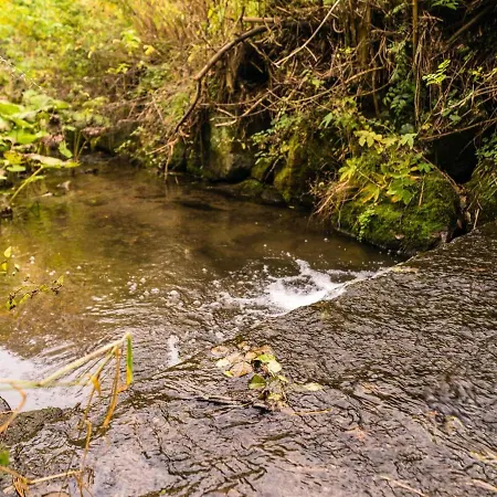 Lägenhet In Nahe Skipisten Willingen (Upland)