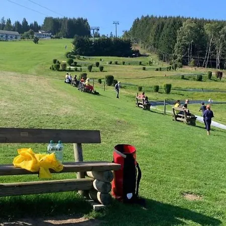 In Nahe Skipisten Lägenhet Willingen (Upland)