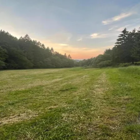 In Nahe Skipisten Lägenhet Willingen (Upland)