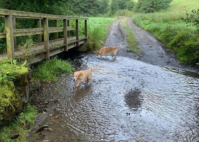 Apartment In Nahe Skipisten