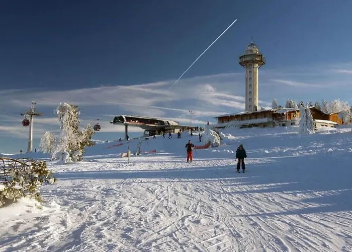 In Nahe Skipisten Appartement *