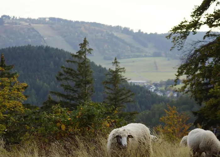 In Nahe Skipisten Willingen (Upland)