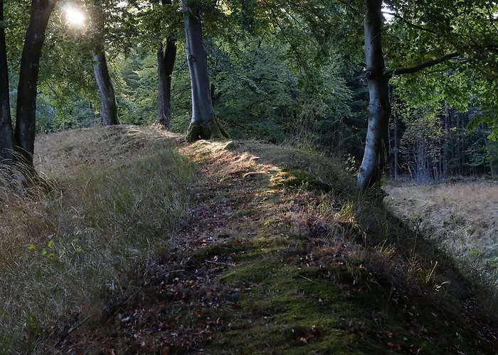 In Nahe Skipisten * Willingen (Upland)