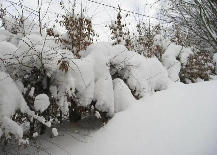 In Nahe Skipisten Willingen (Upland)