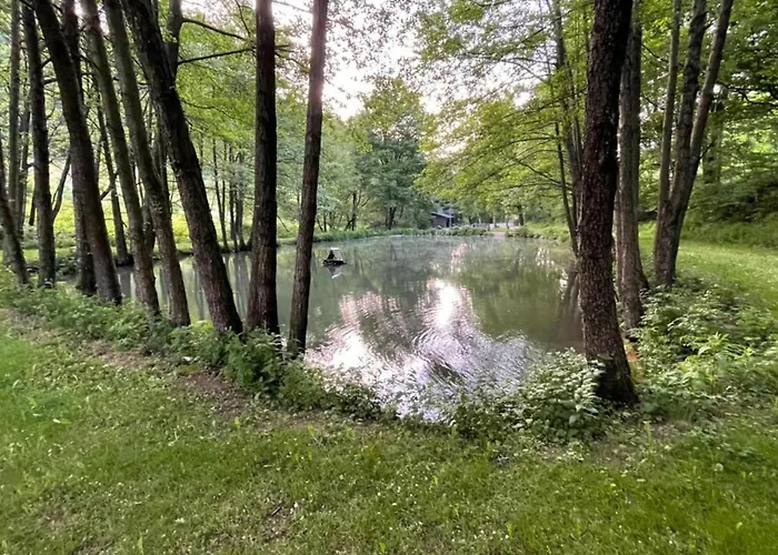 In Nahe Skipisten Apartment Willingen (Upland)