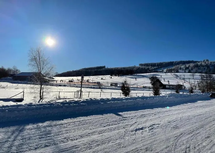 In Nahe Skipisten * Willingen (Upland)